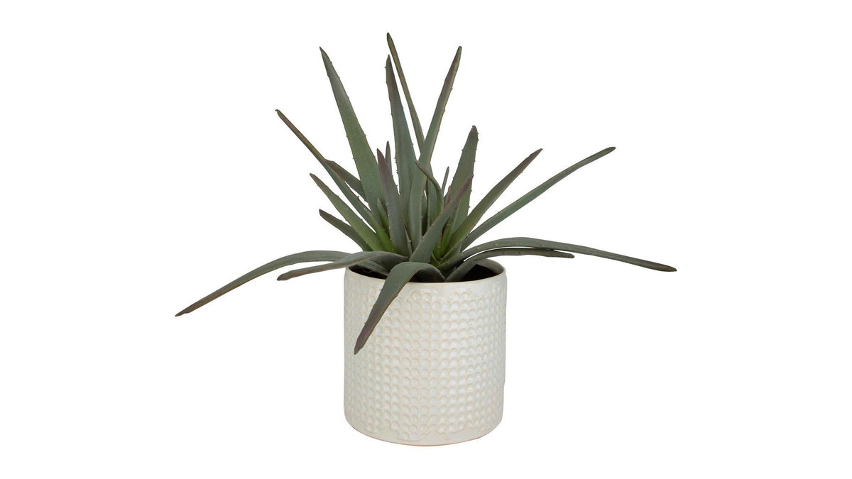 Taos - Aloe Centerpiece - Silver