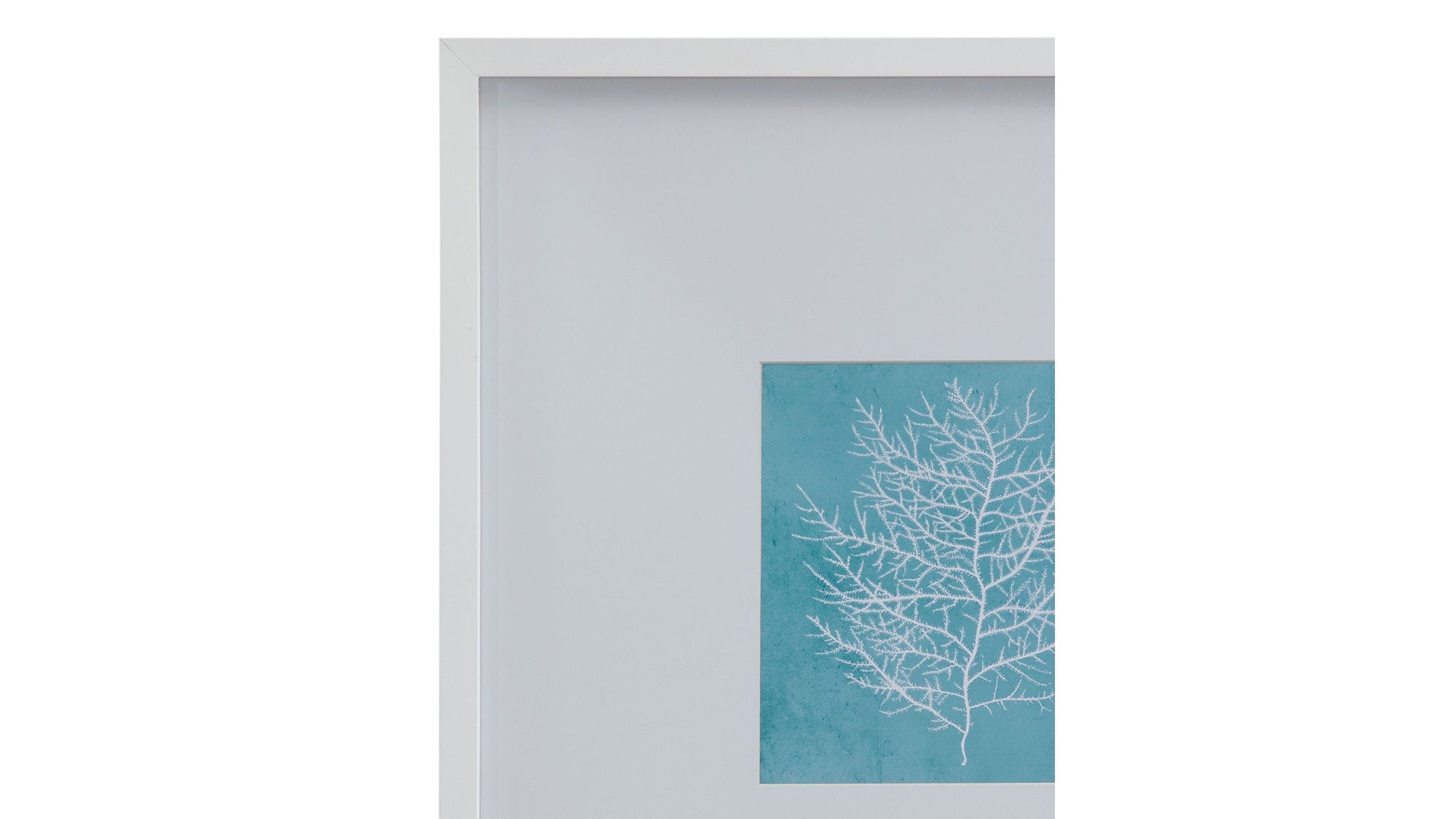 White Coral On Blue II Framed Print - Blue / White