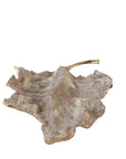 Tristan - Leaf - Bronze