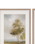 Quiet Meadow Framed Canvas Set of 4 - Cream