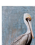 Pelican Canvas Art - Blue / Gray