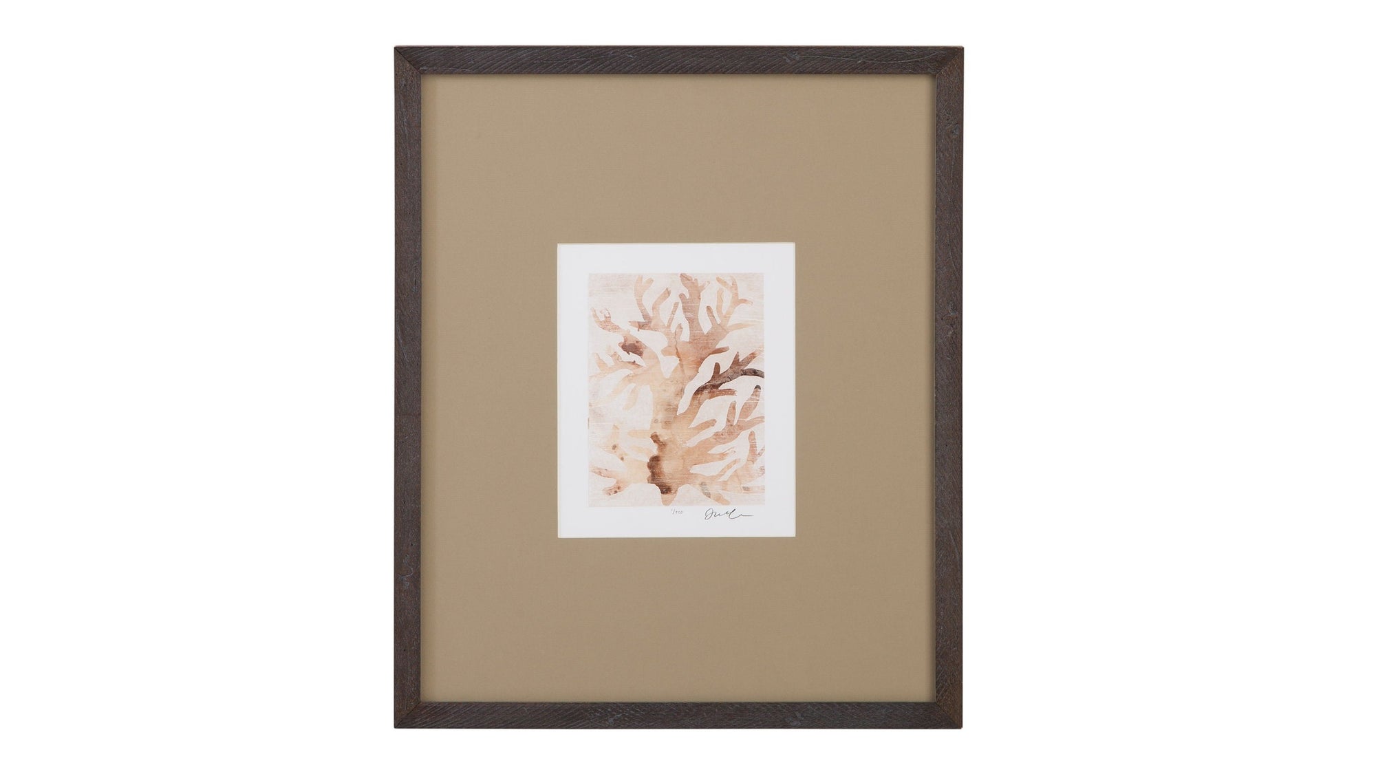 Parchment Coral III Framed Print - Brown