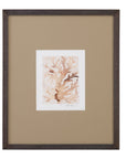 Parchment Coral III Framed Print - Brown