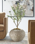 Rustic - Roots Terracotta Planter - Light Brown
