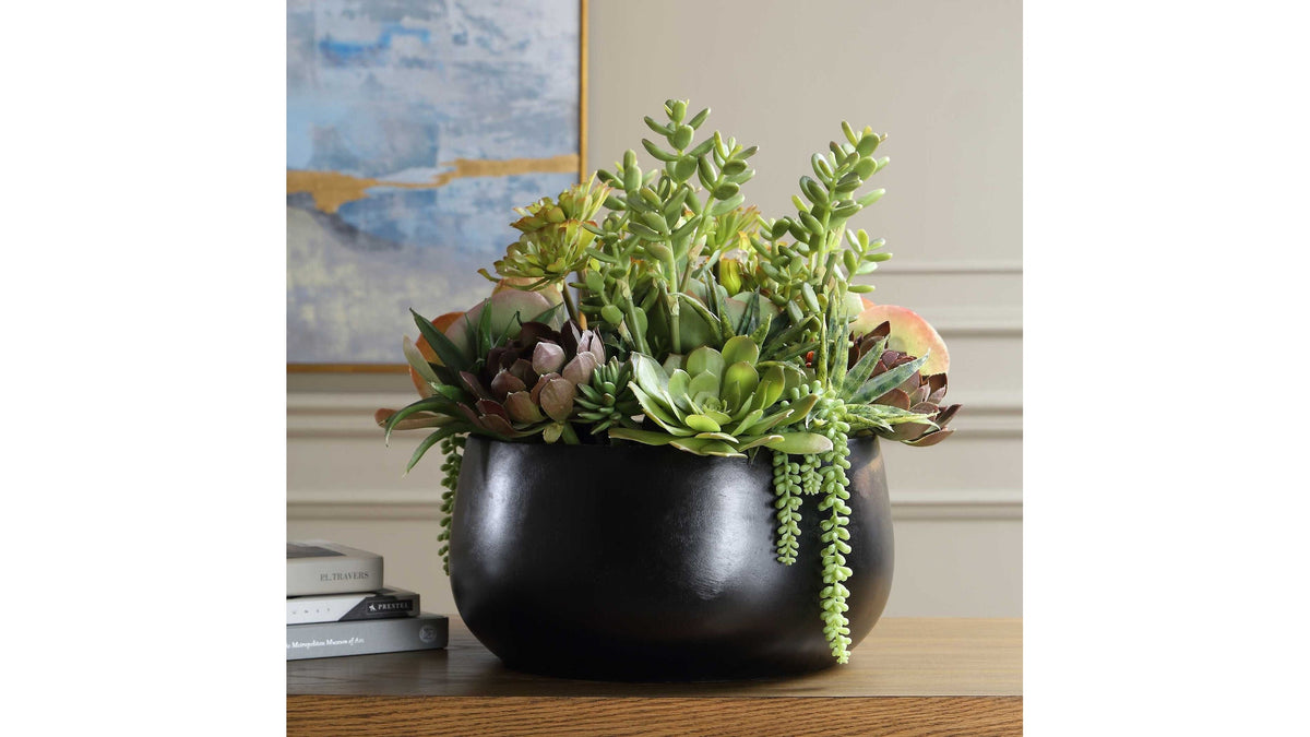 Mico - Indoor-Outdoor Succulent Centerpiece - Black,Green