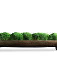 Canal - Moss Centerpiece