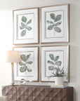 Fiddle Head - Leaf Botanical Prints (Set of 4) - Gold / Green / White