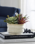 Mesa Succulent Accent - Silver