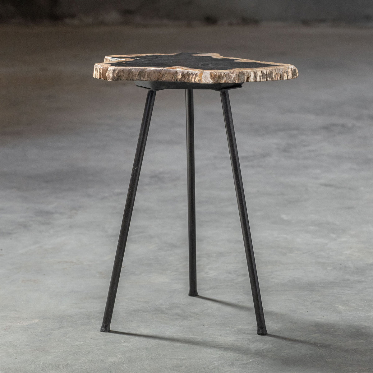 Mircea - Petrified Wood Accent Table - Black &amp; Light Brown