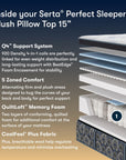 Perfect Sleeper - 15" Cascade Range Plush Pillow Top Mattress