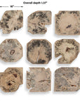 Bahati - Wood Bleached Wall Decor (Set of 9) - Brown