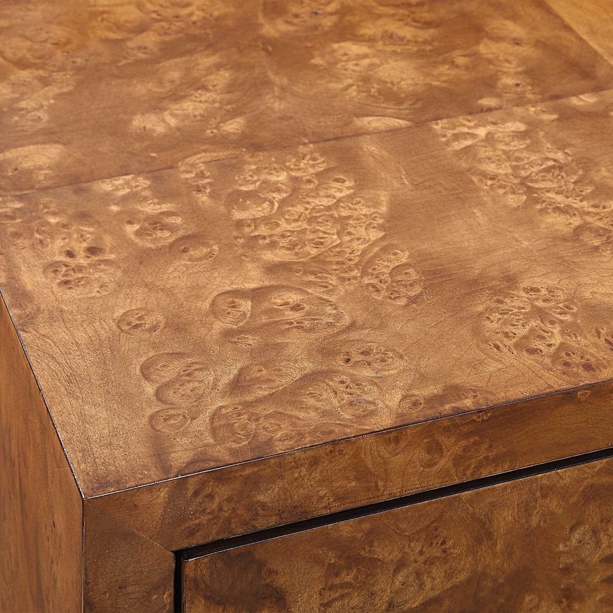 Jethro - Burl 2 Door Cabinet - Woodtone