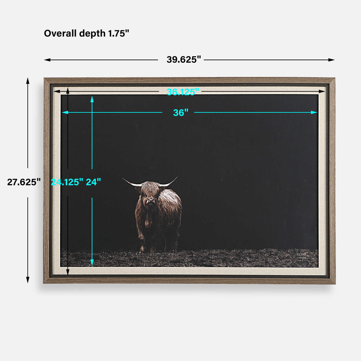 King Of The Hill - Framed Bovine Print - Black