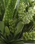 Sundown Succulent - Accent Planter - Green / White