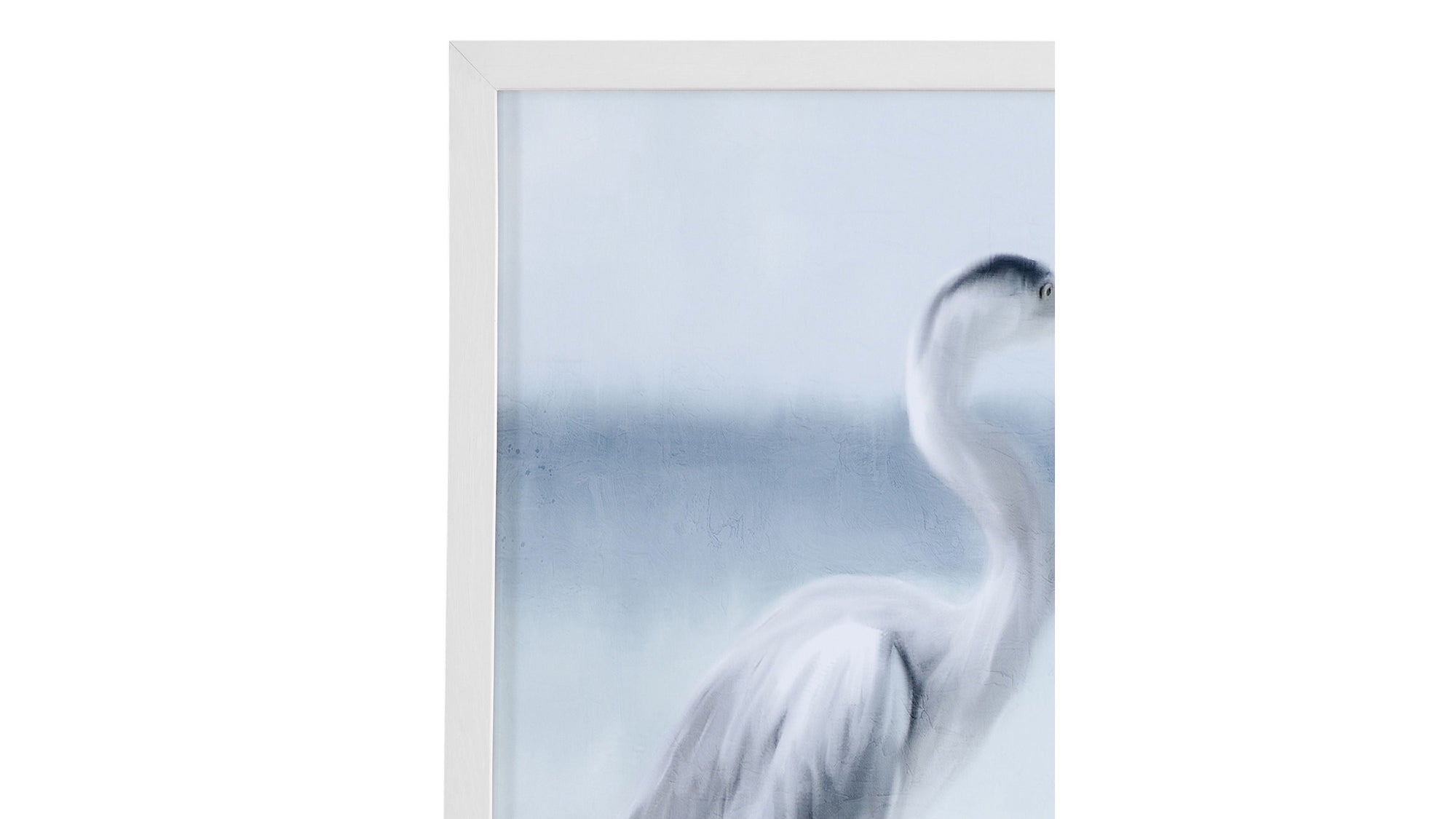 Marine Life - Gray