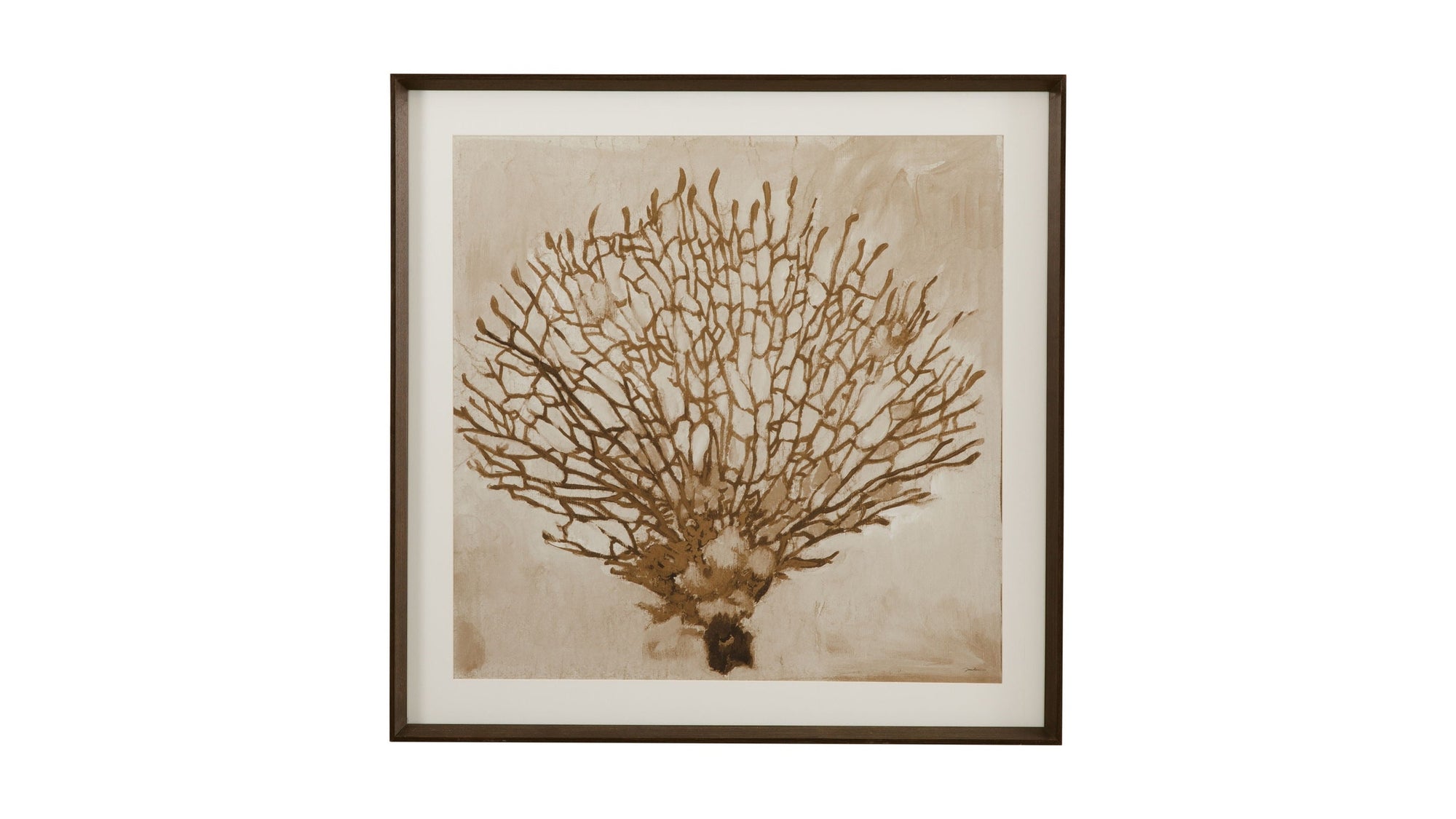 Neutral Seafan Framed Print - Light Brown