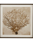 Neutral Seafan Framed Print - Light Brown