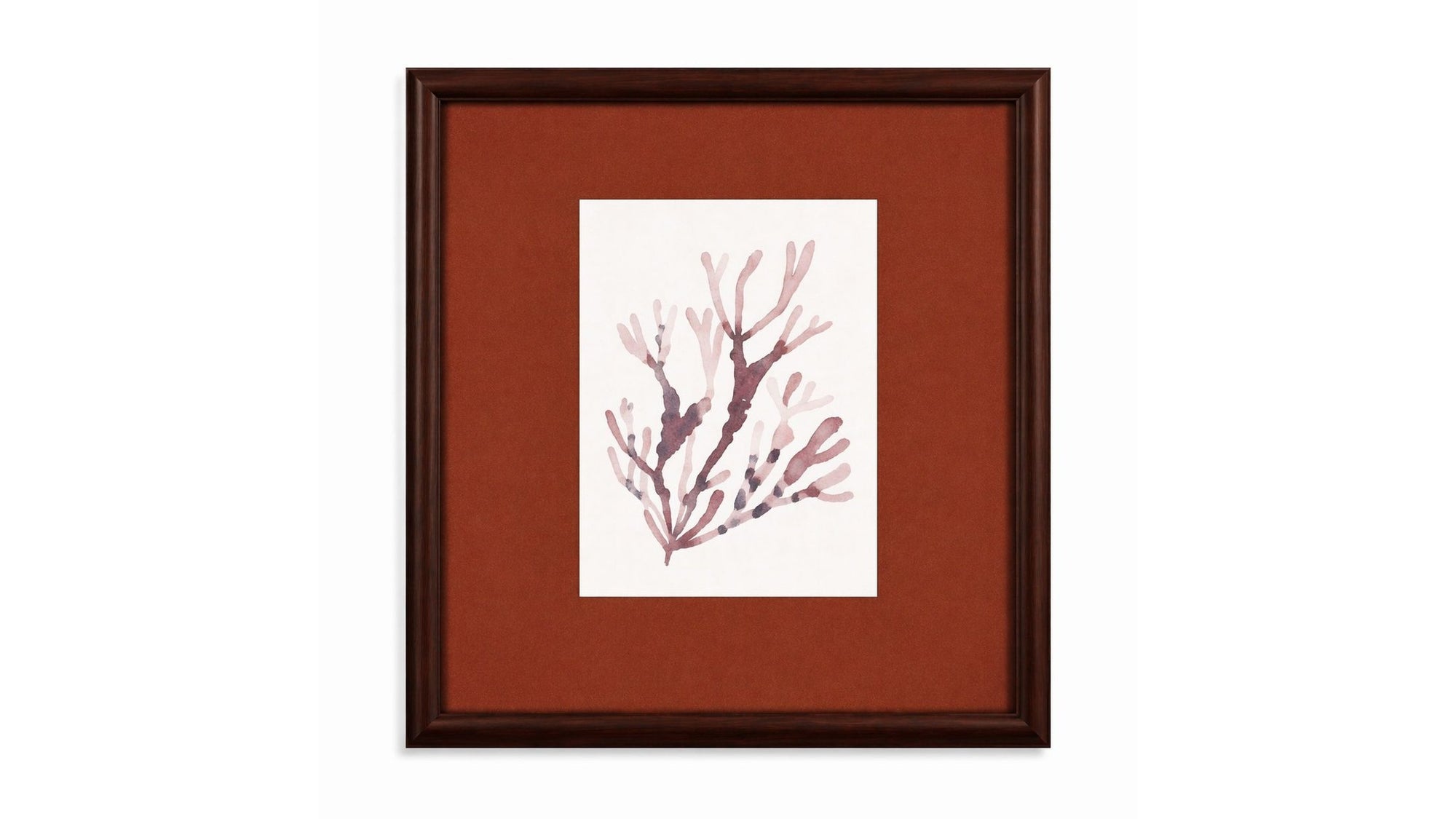 Spotted Coral Framed Print - Red