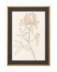 Sketchbook Blooms Blossom Framed Print - Peach / Black / Brown