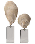 Oyster - Shell Sculptures (Set of 2) - Beige
