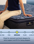 Perfect Sleeper - 14.5" Cobalt Calm Medium Pillow Top Mattress