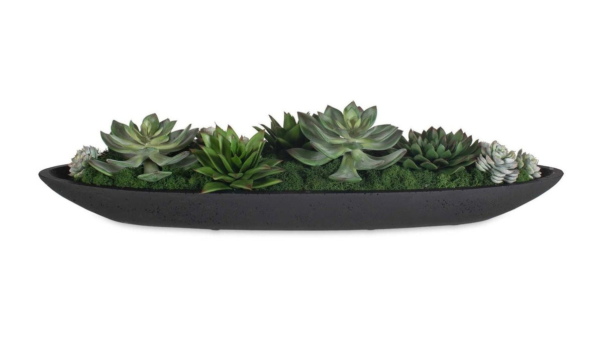 Verde - Succulent Centerpiece In Bowl - Black / Green