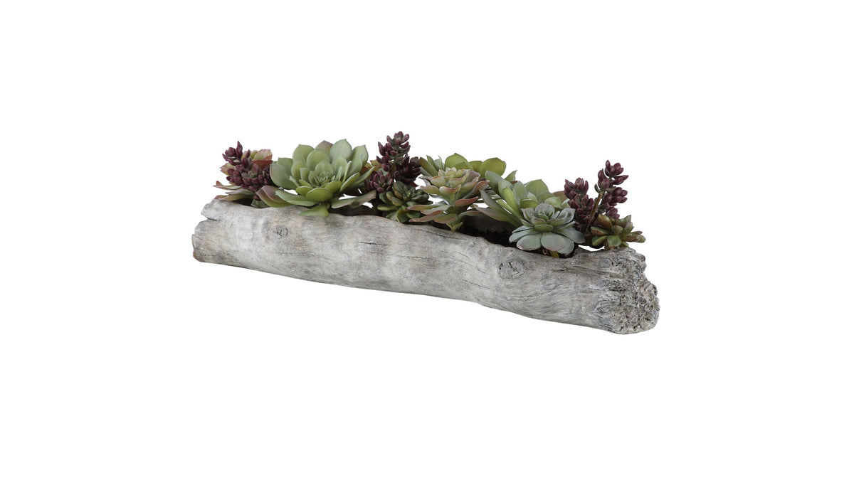 Charita - Lush Succulents - Silver