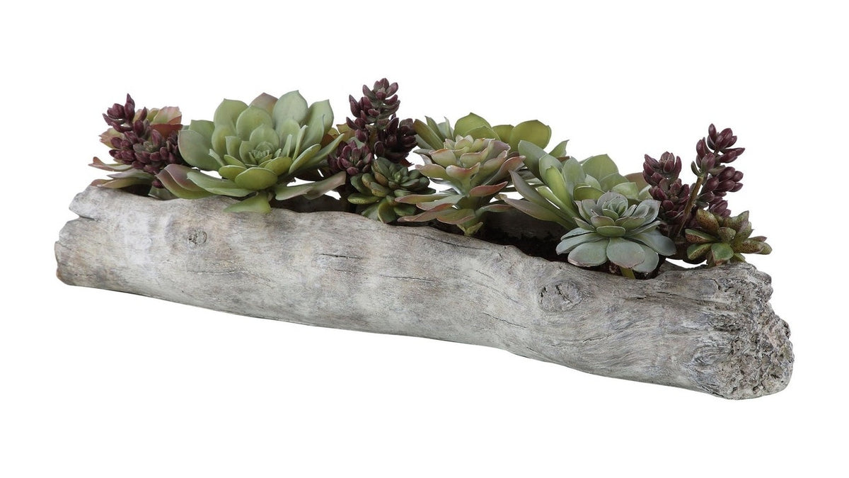 Charita - Lush Succulents - Silver