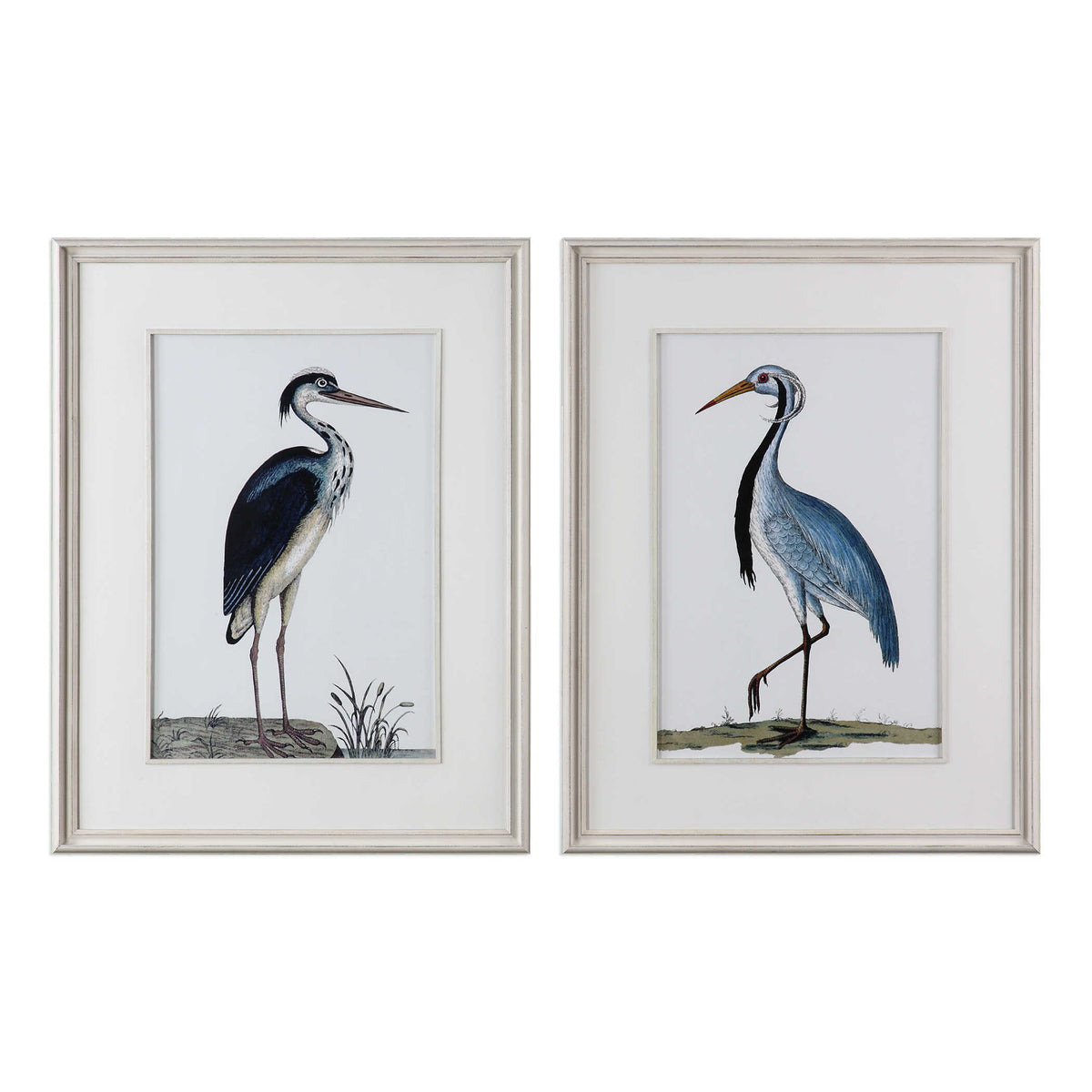 Shore Birds - Framed Prints Set of 2 - Black