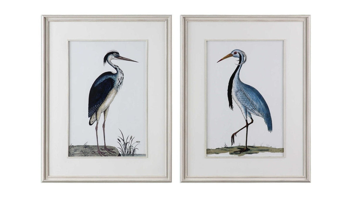 Shore Birds - Framed Prints Set of 2 - Black