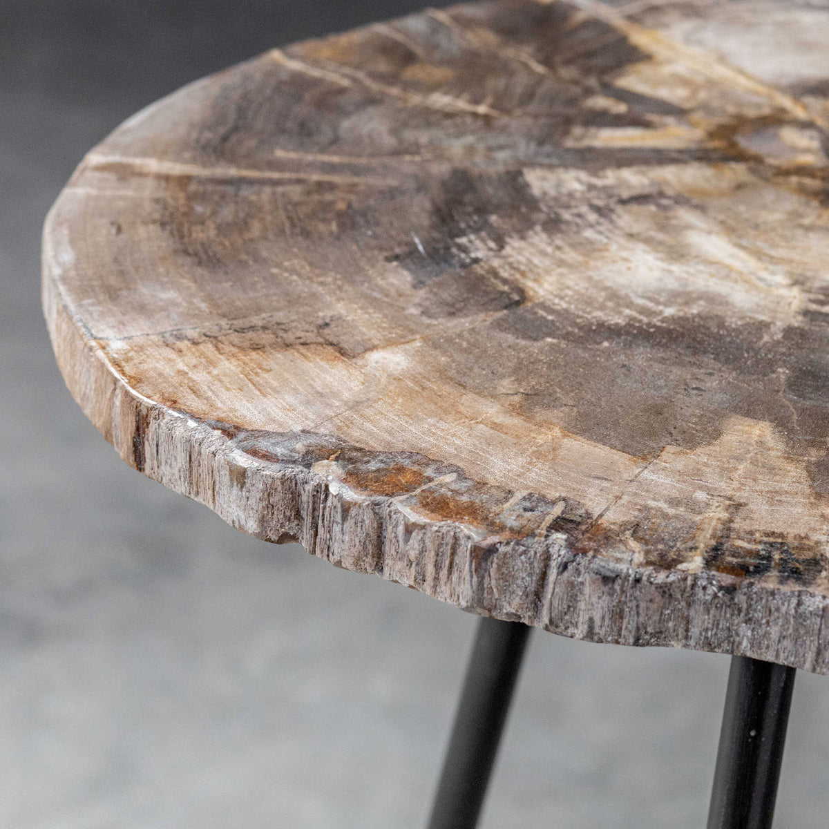 Mircea - Petrified Wood Accent Table - Black &amp; Light Brown