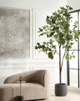 Eden - Potted Fig Tree - Green