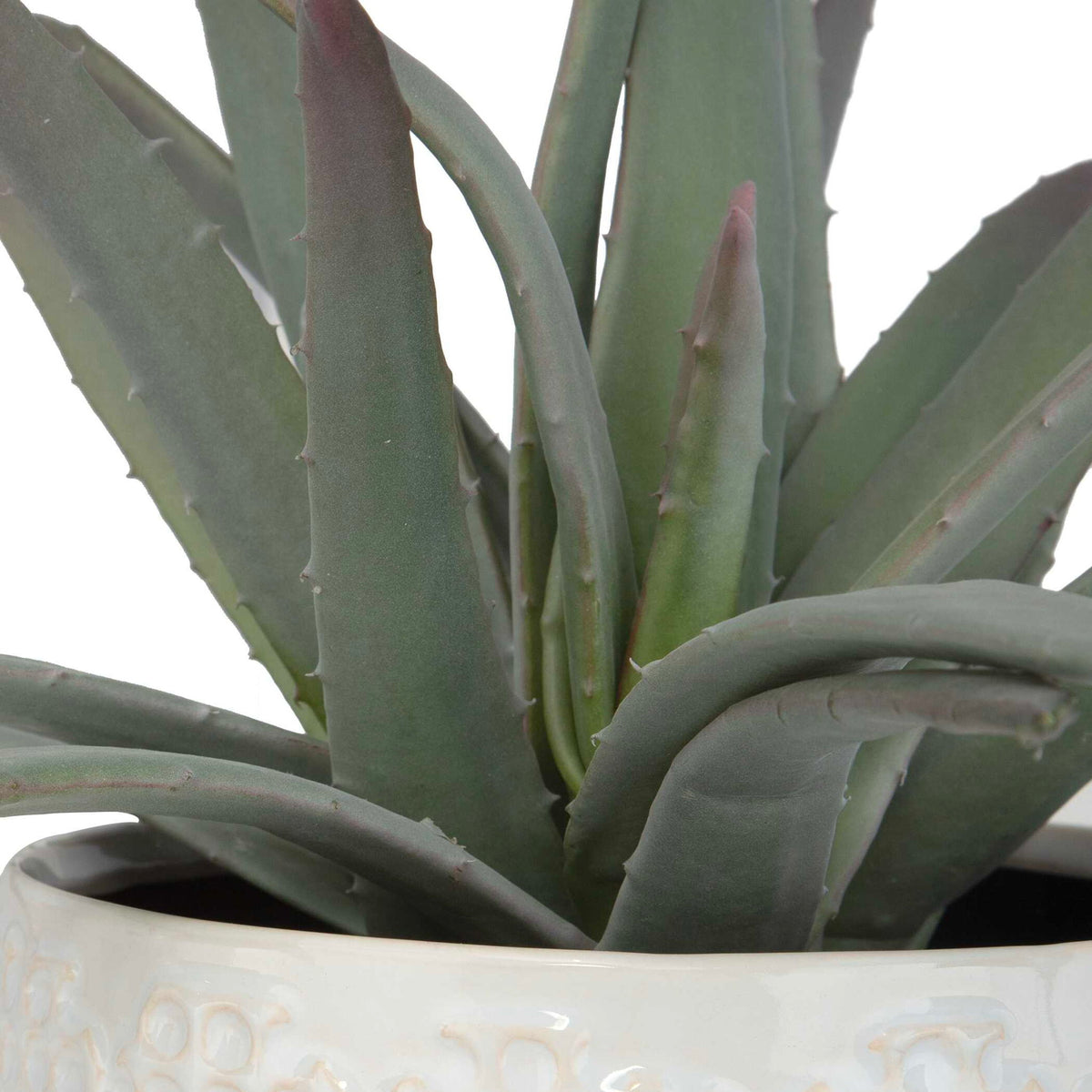 Taos - Aloe Centerpiece - Silver