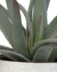 Taos - Aloe Centerpiece - Silver