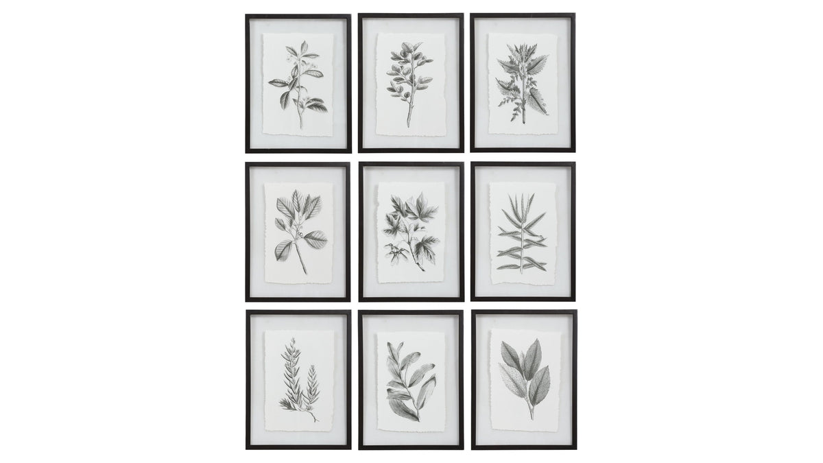 Farmhouse Florals - Framed Prints (Set of 9) - Black