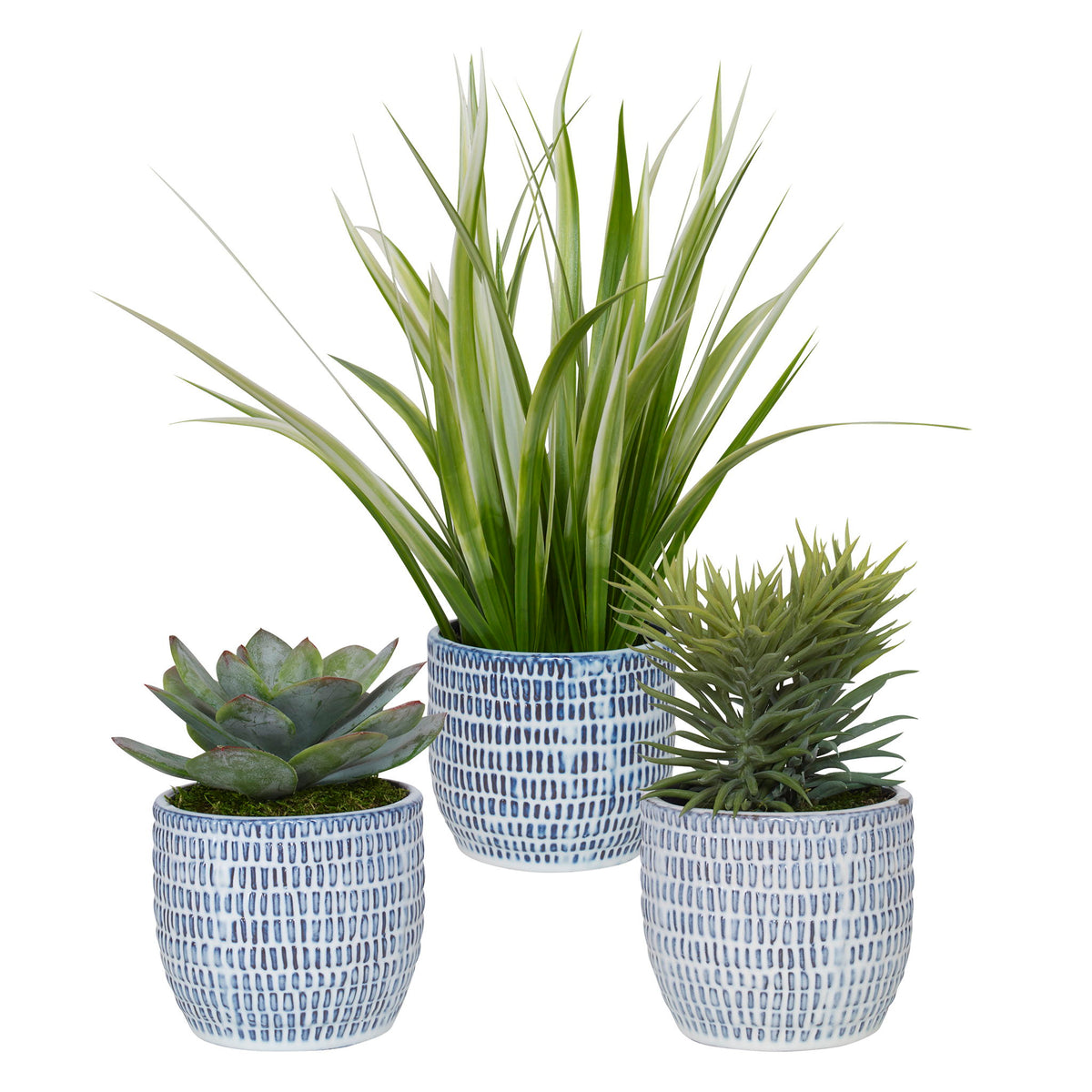 Puebla - Greenery In Blue &amp; White Pots (Set of 3) - Green