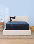Perfect Sleeper - 14" Euphoric Nights Hybrid Firm Mattress