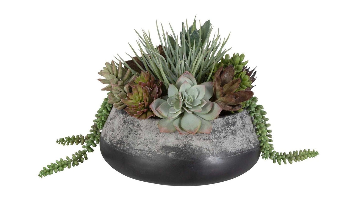 Yuma - Succulent Centerpiece - Gray