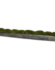Canal - Moss Centerpiece
