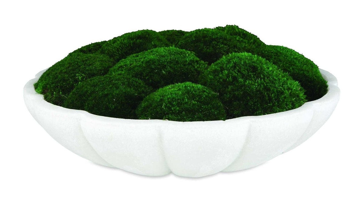 Awaken Moss - Centerpiece - Green / White