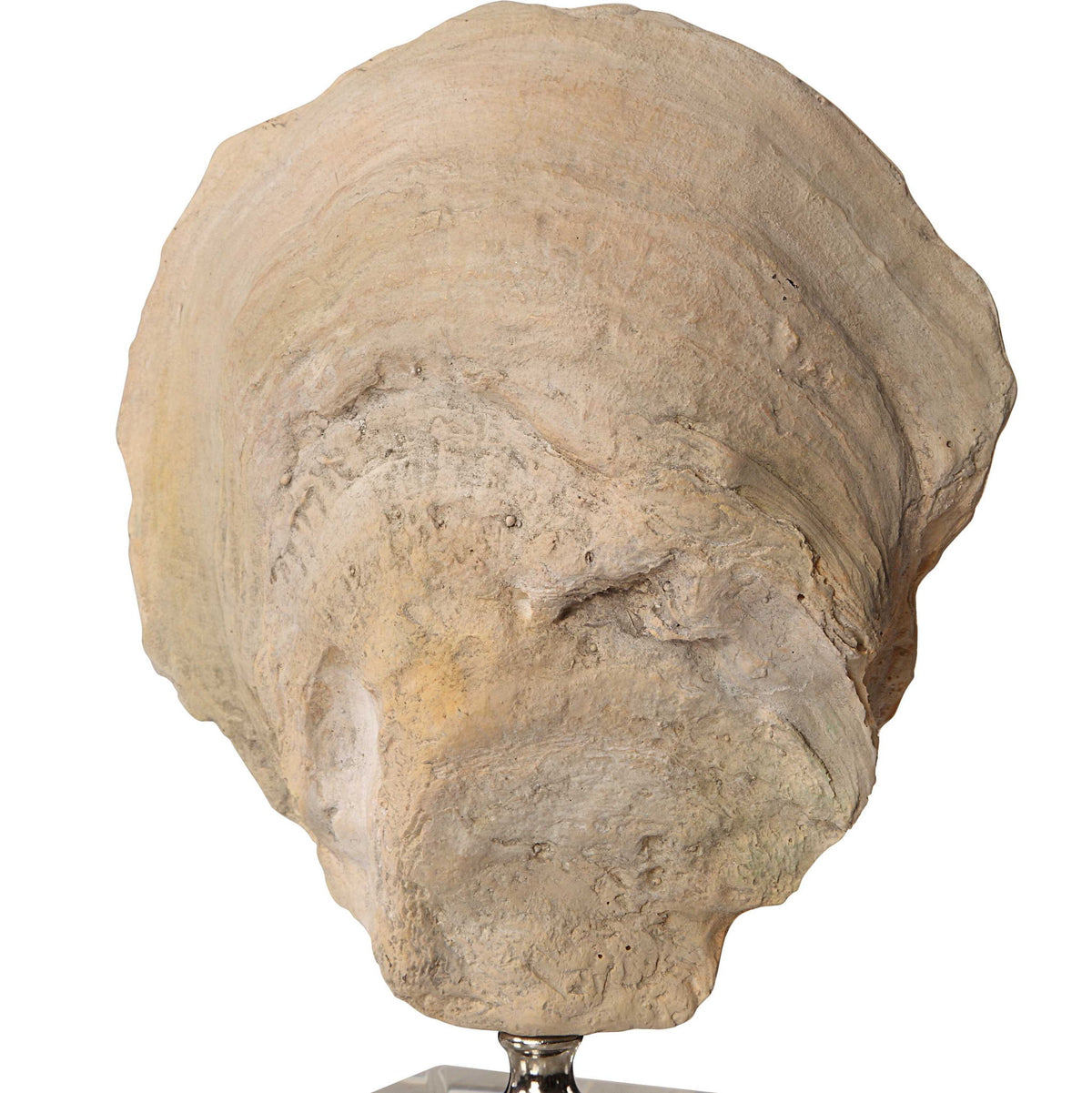 Oyster - Shell Sculptures (Set of 2) - Beige