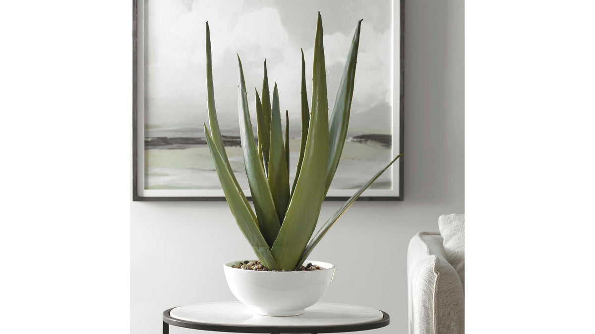 Evarado - Aloe Planter - White