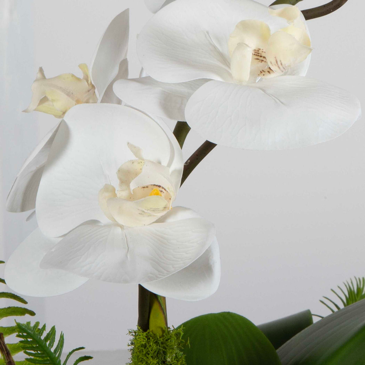 Transcend - Orchid Centerpiece - Gold