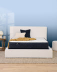 Perfect Sleeper - 10.5" Adoring Night Firm Mattress