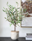 Solea Olive - Accent & Textured Vase - Brown / Green