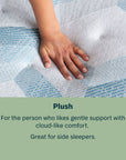 Peaceful Morning - 13.75" Plush Mattress