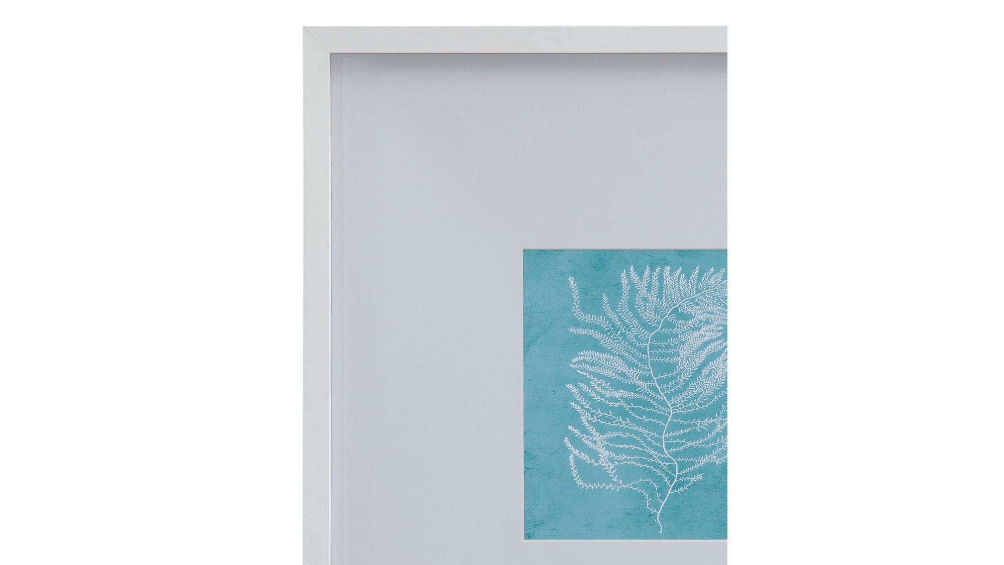White Coral On Blue III Framed Print - Blue / White