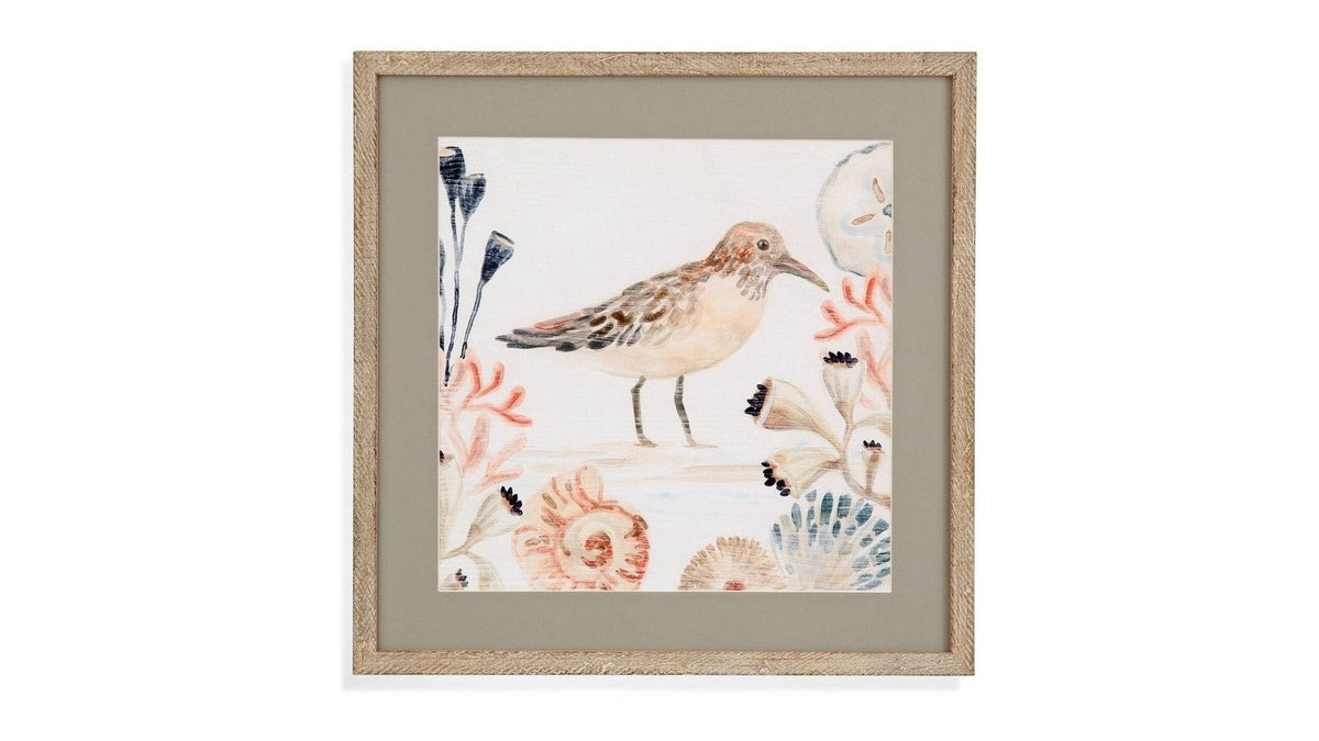 Shell Peppers III Framed Print - White