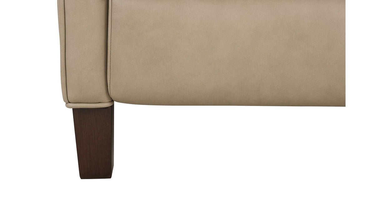 Ledger - 3P Recliner