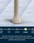 Five Star Mattress - Sleep to Go 14" Plush Mattress in a Box